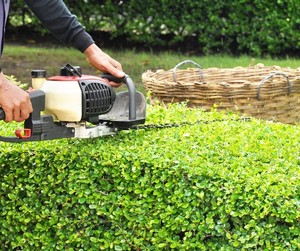 Hedge Trimmers - Petrol